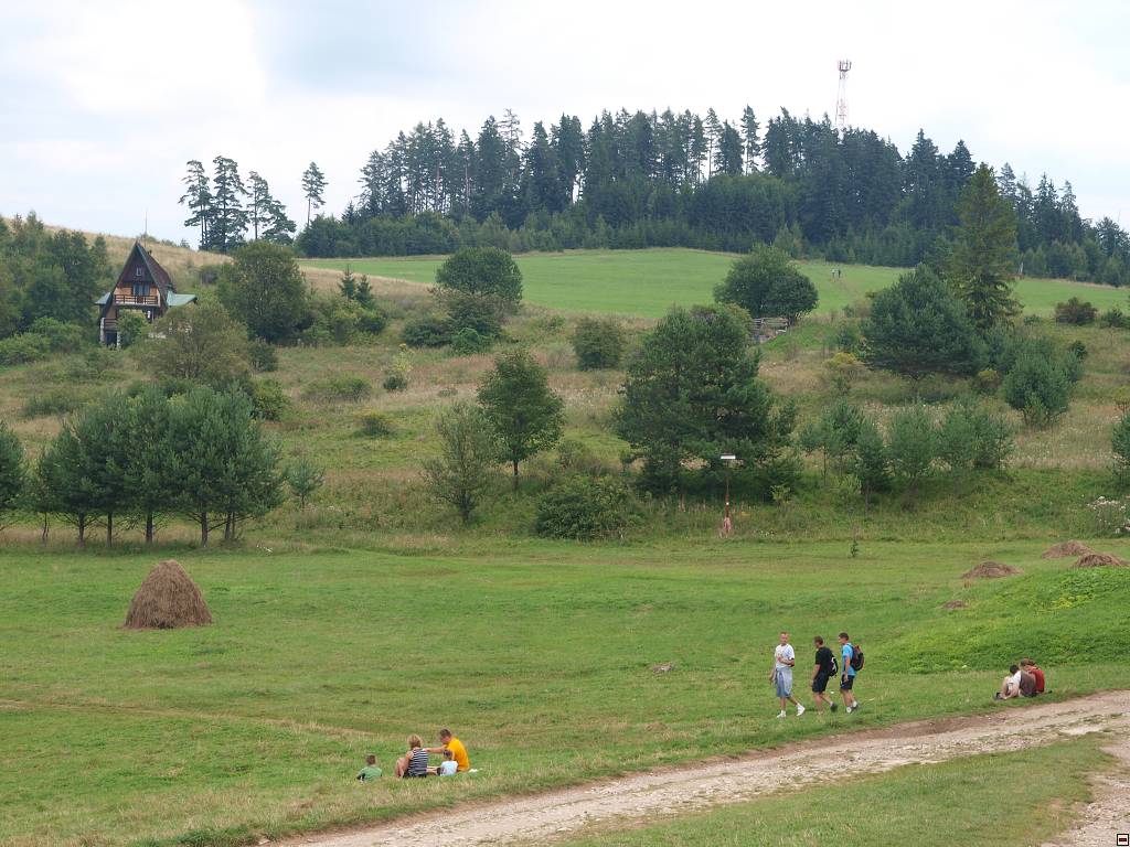 P8246463.jpg