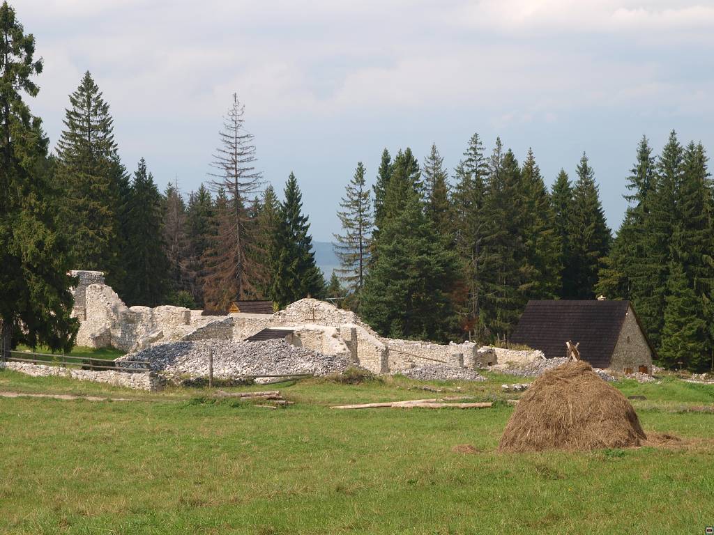 P8246465.jpg