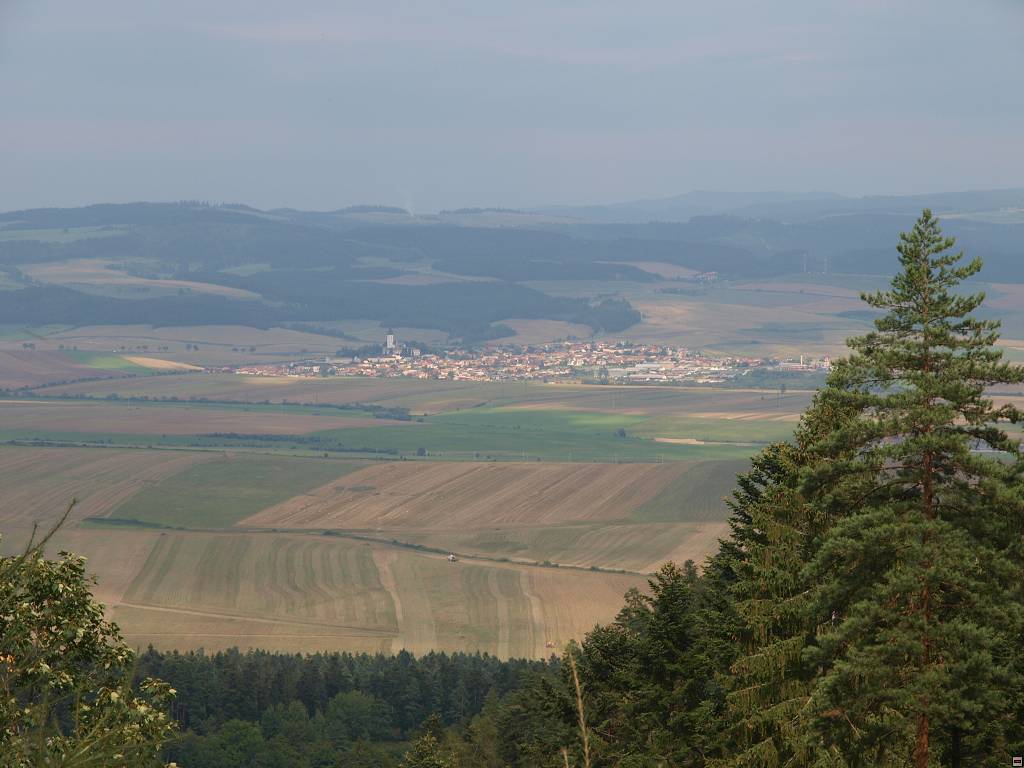 P8246466.jpg