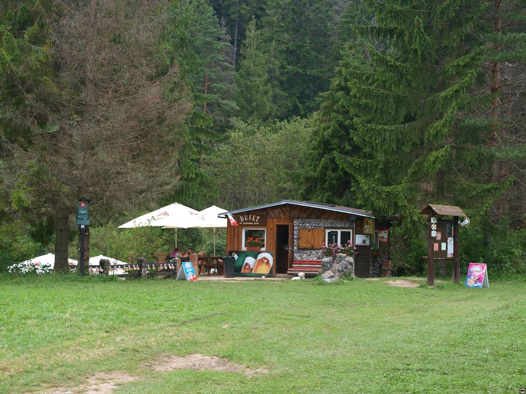 P8246470.jpg