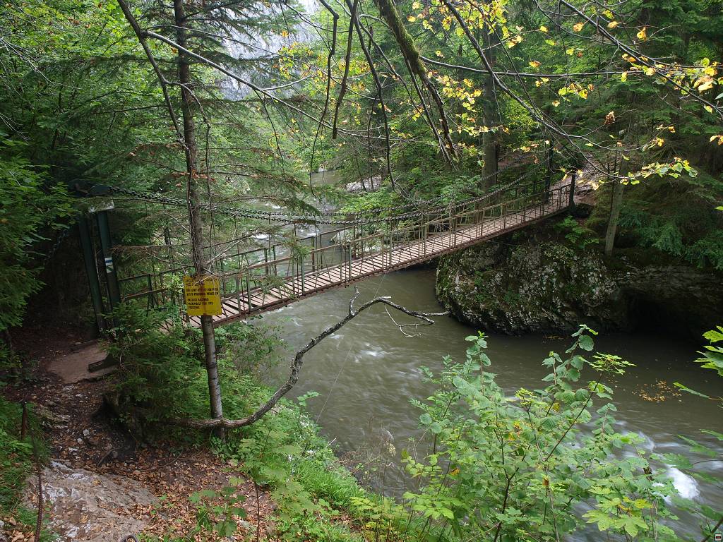 P8246474.jpg