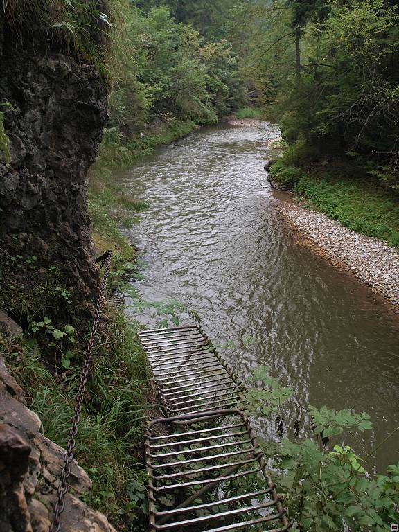 P8246482.jpg