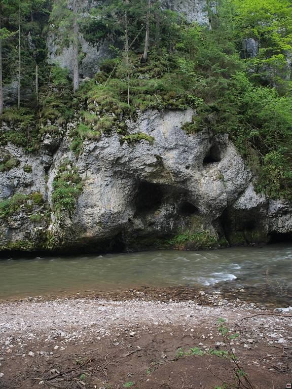 P8246486.jpg