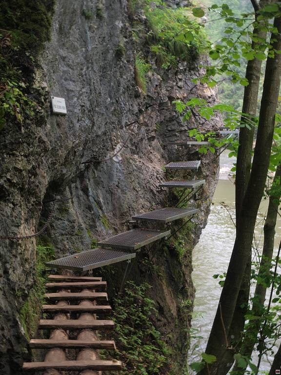 P8246491.jpg