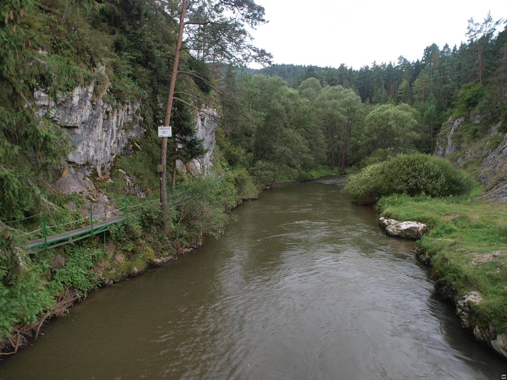 P8246493.jpg