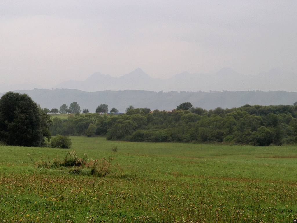 P8246494.jpg
