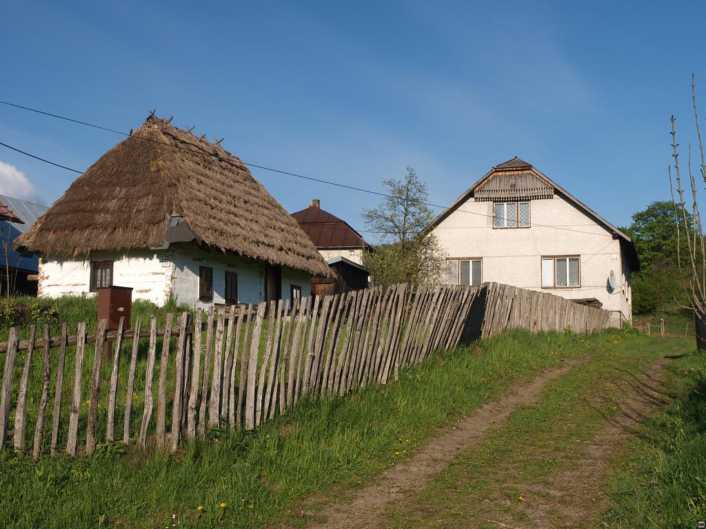 P5080560.jpg