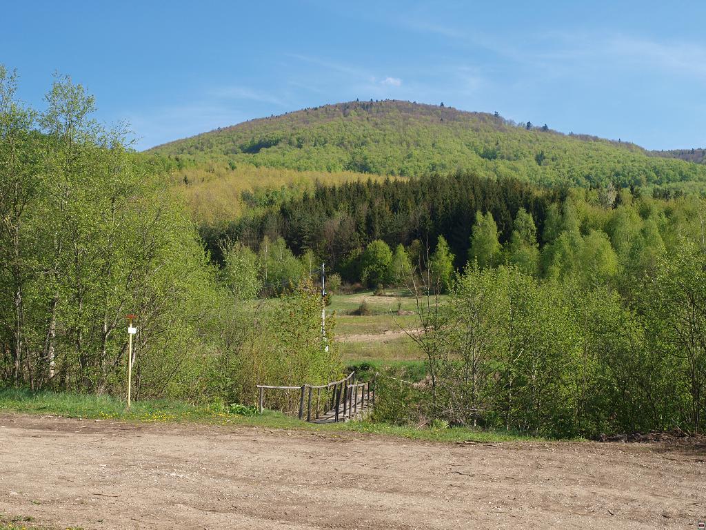 P5090564.jpg
