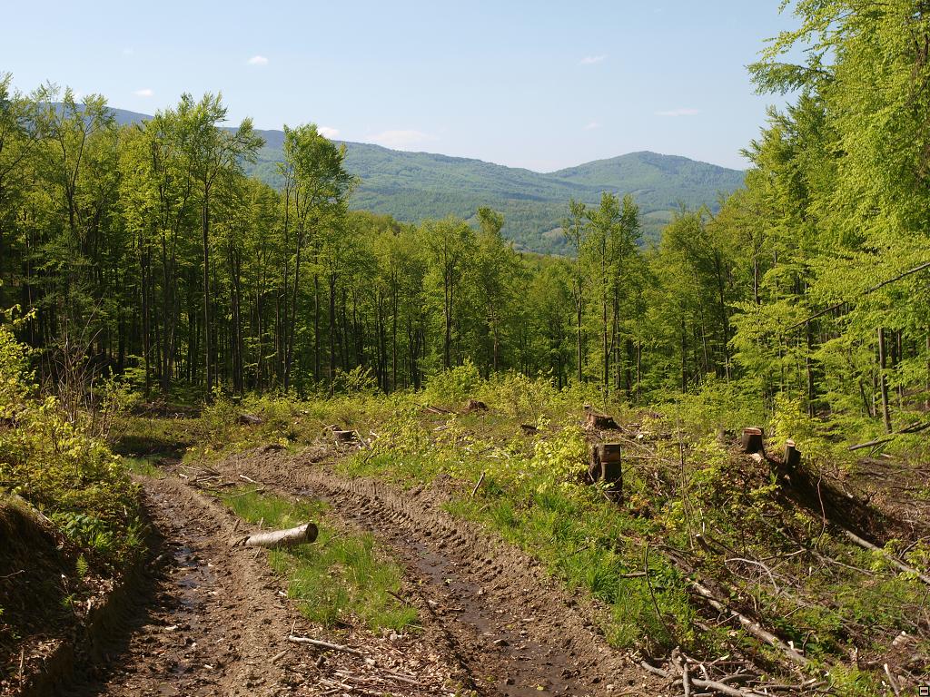 P5090566.jpg
