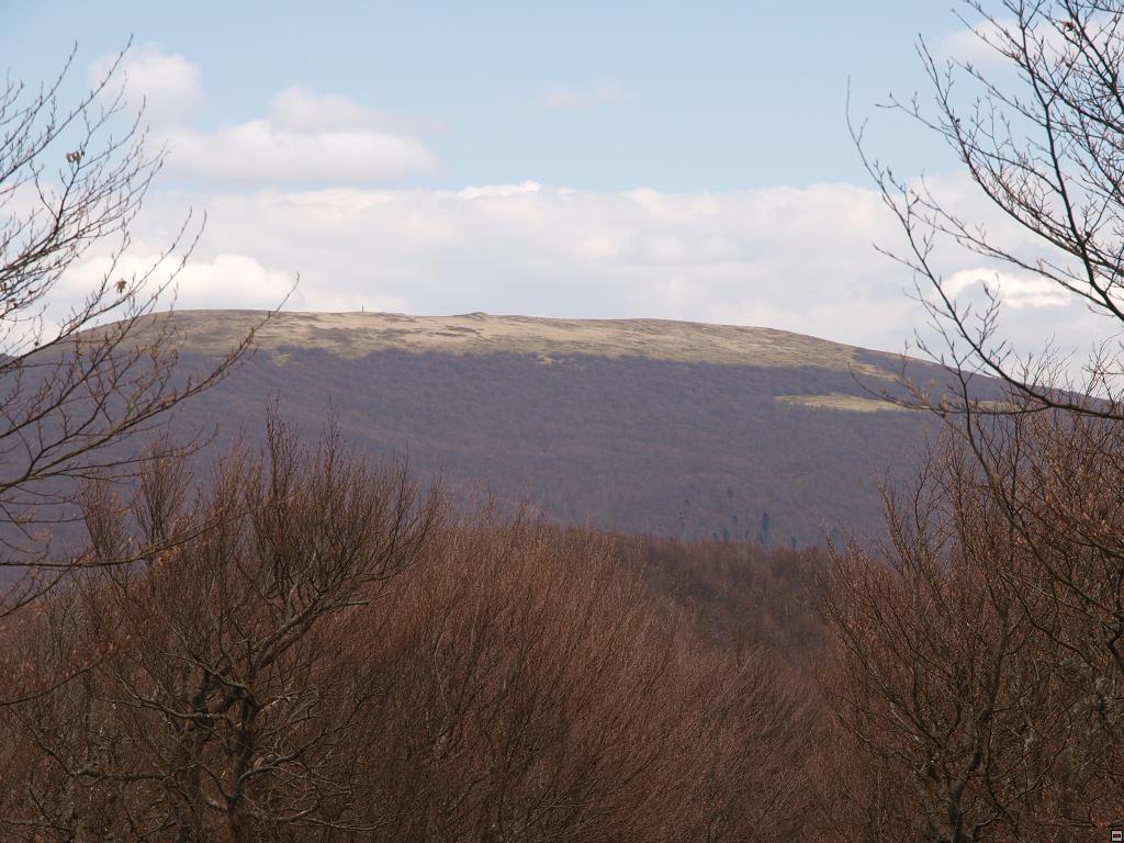 P5090590.jpg