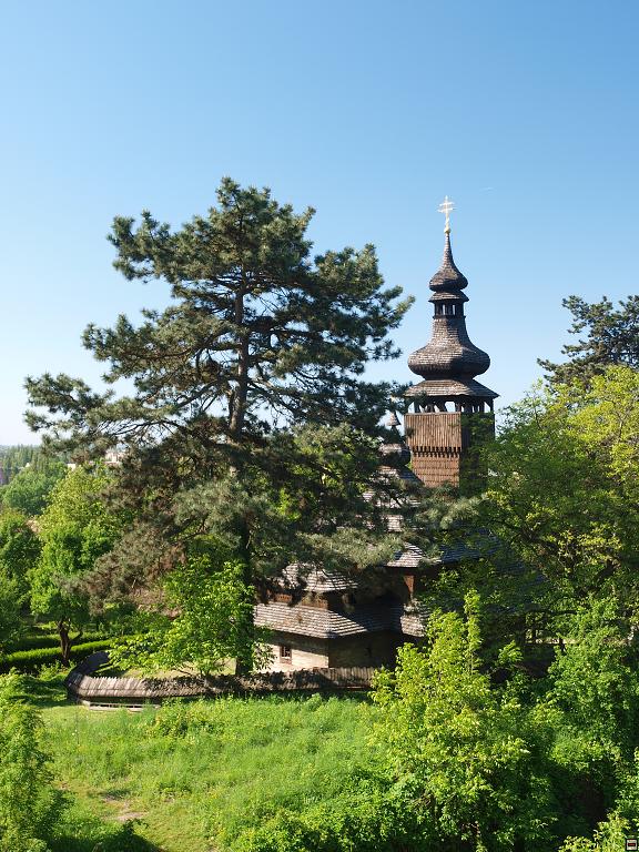 P5110744.jpg