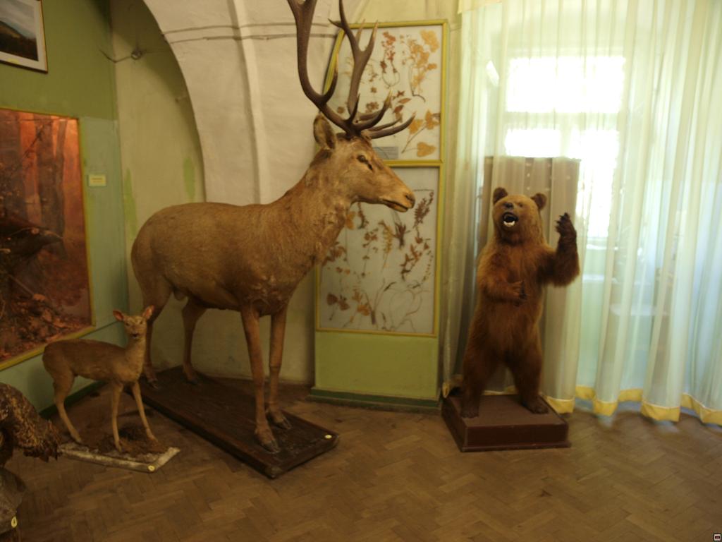 P5110748.jpg