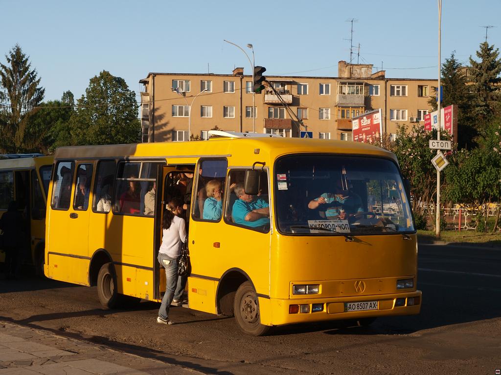 P5110799.jpg