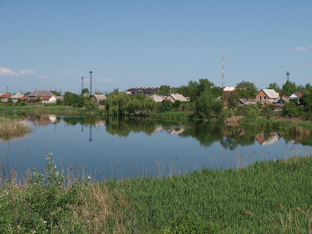 P5120811.jpg