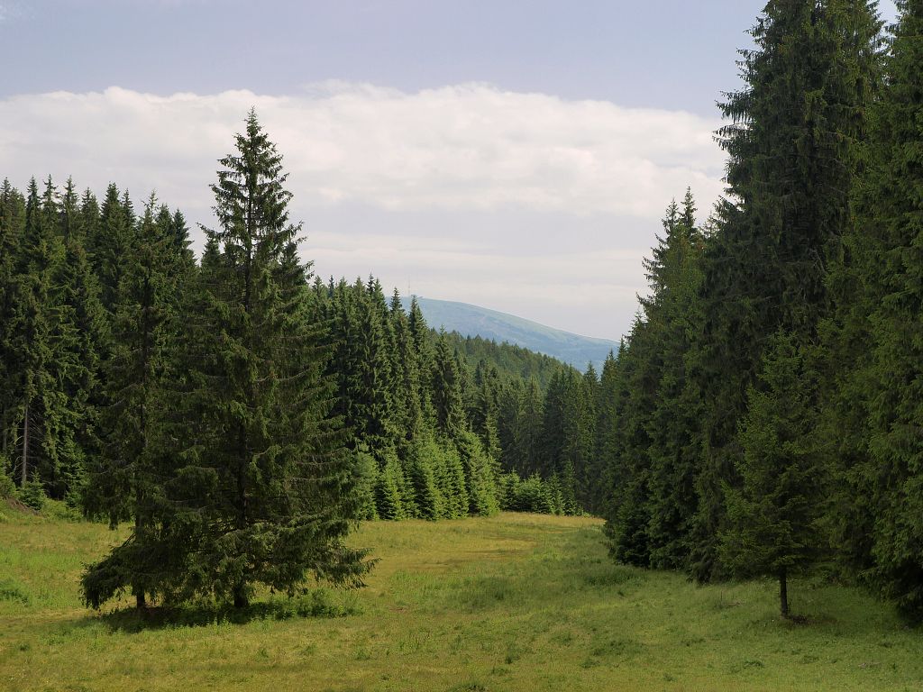 img00004.jpg