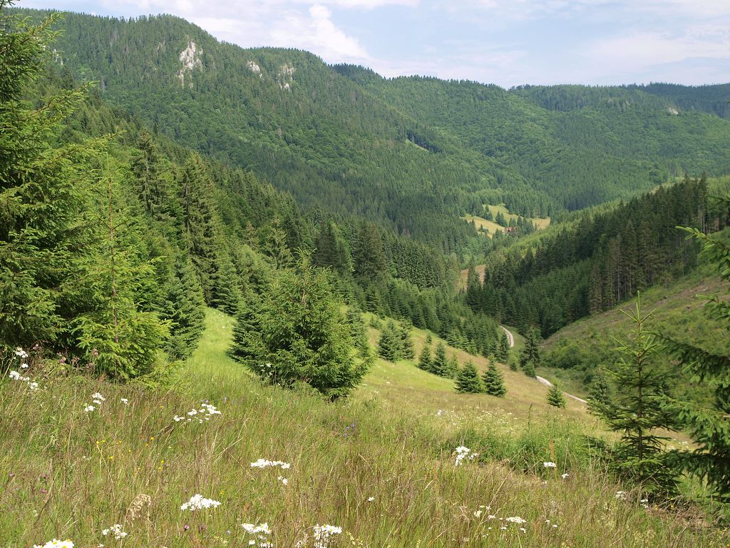 img00014.jpg