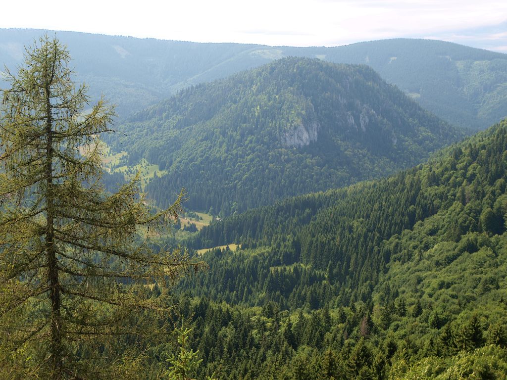 img00018.jpg