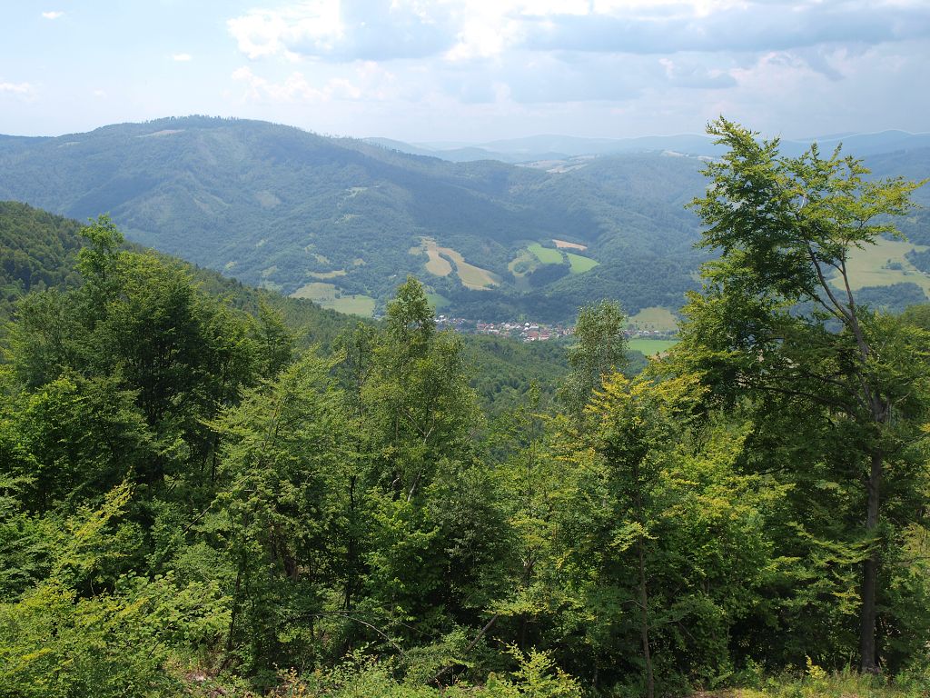 img00014.jpg