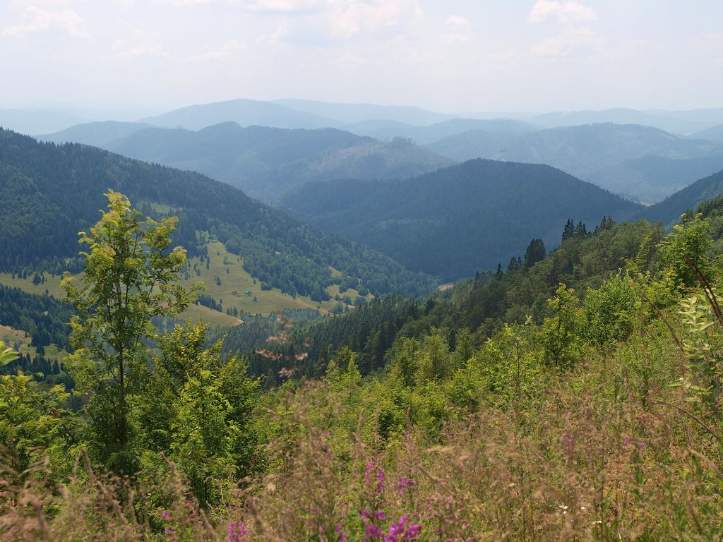 img00010.jpg