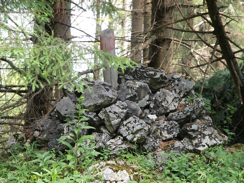 img00011.jpg