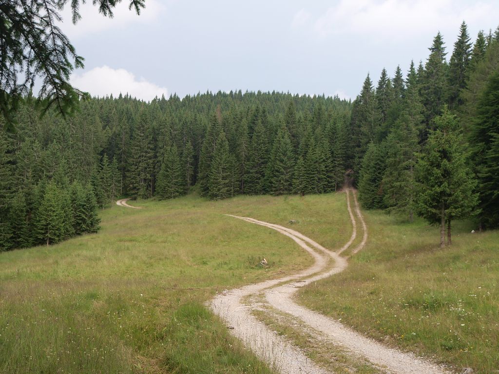 img00018.jpg