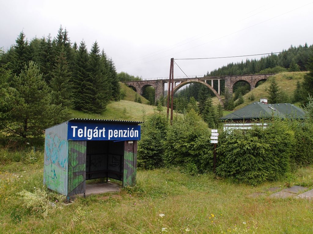 img00005.jpg