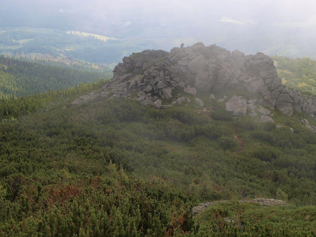 img00006.jpg