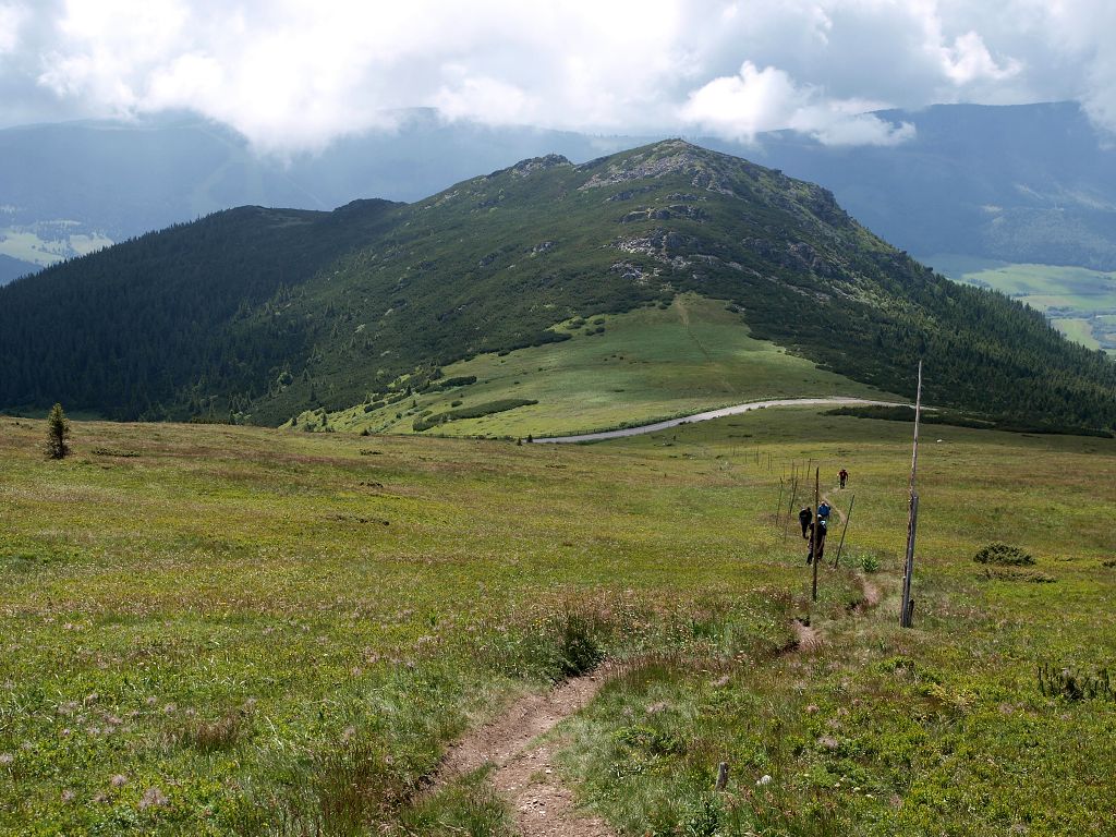 img00007.jpg