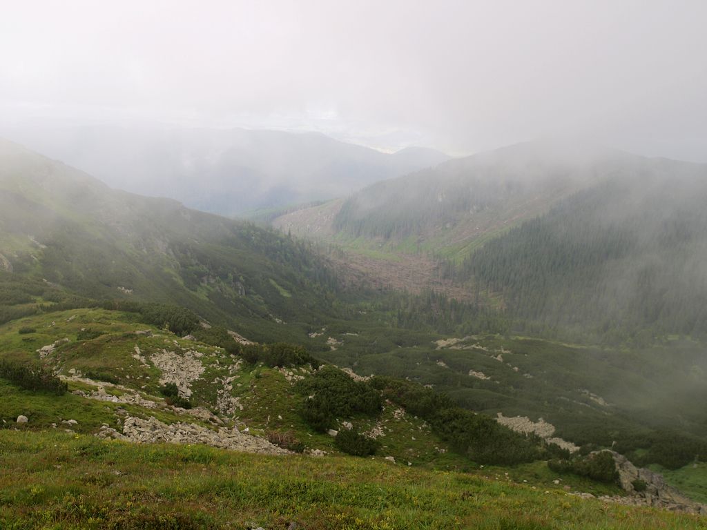 img00013.jpg