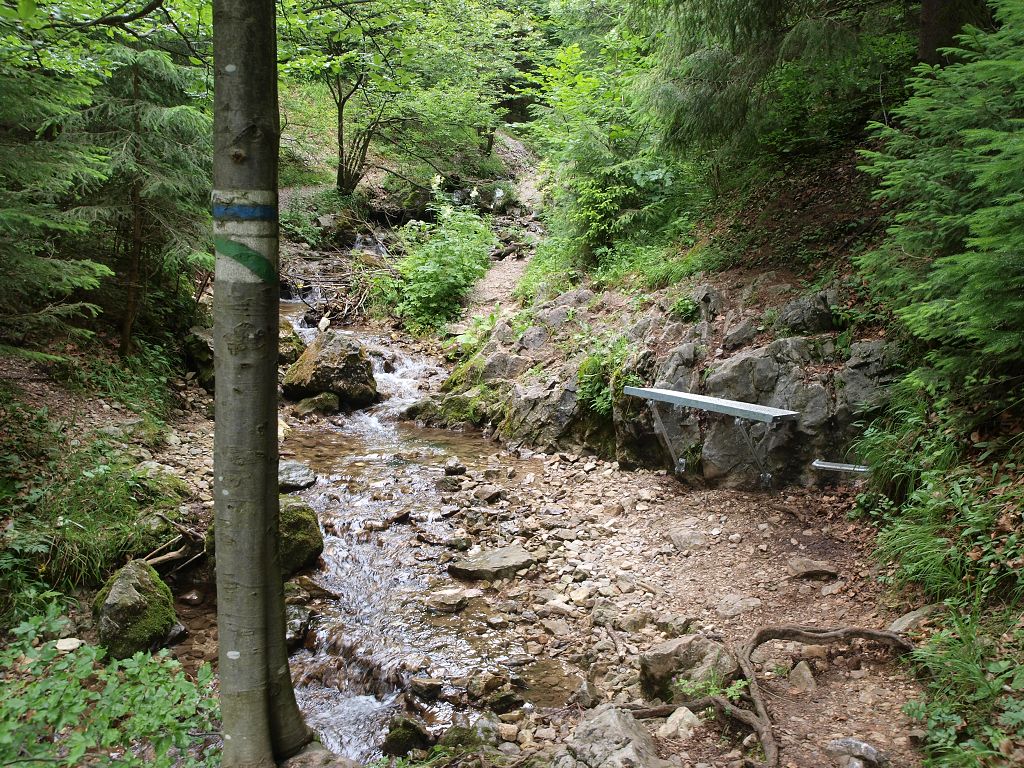 img00004.jpg