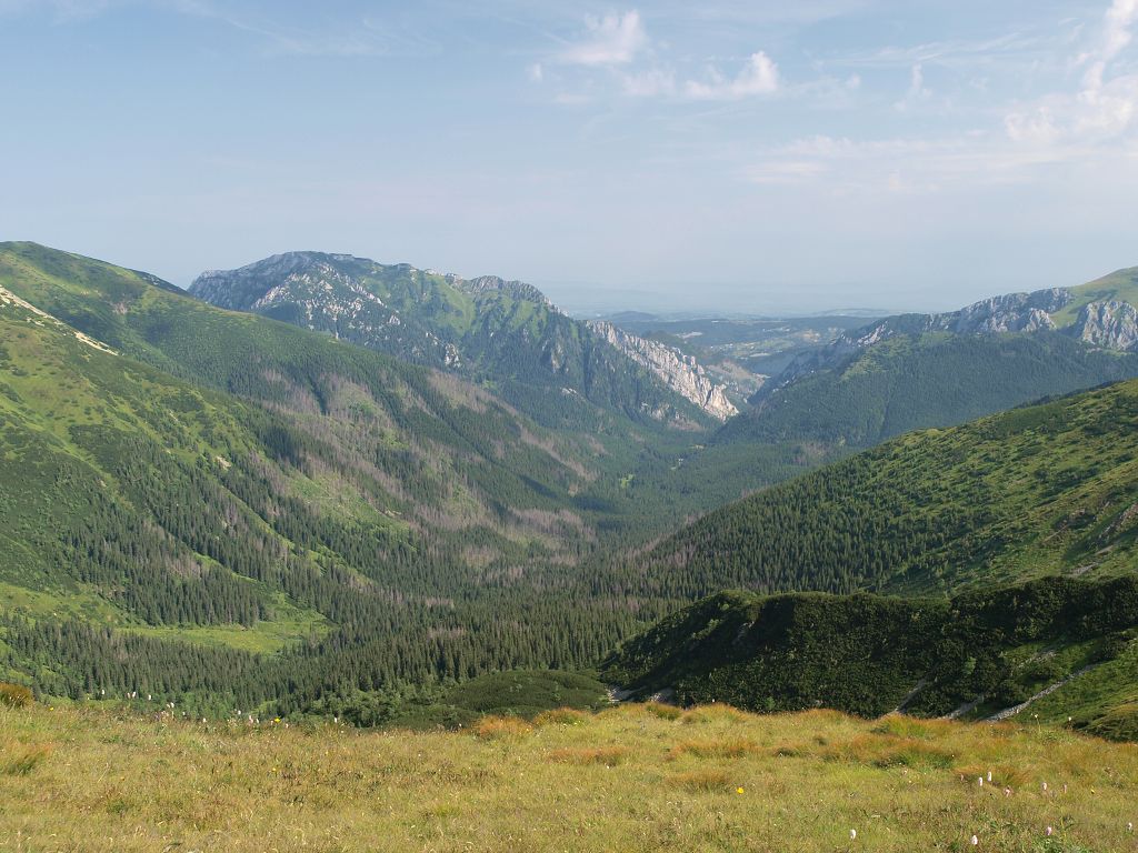 img00002.jpg