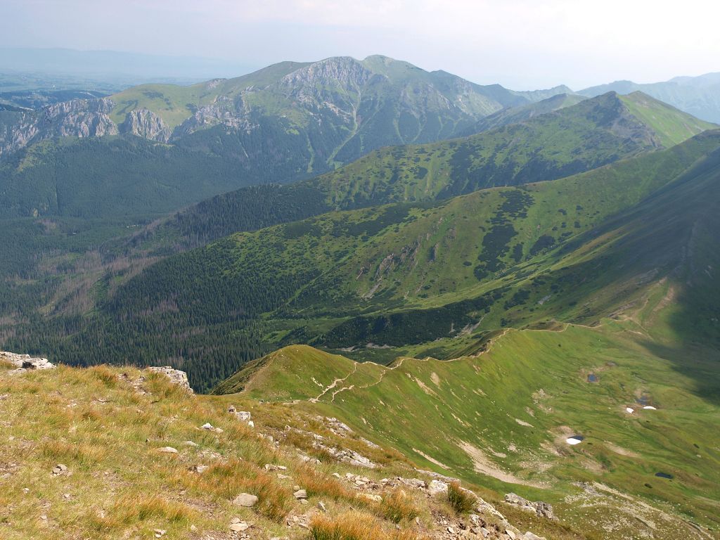 img00004.jpg