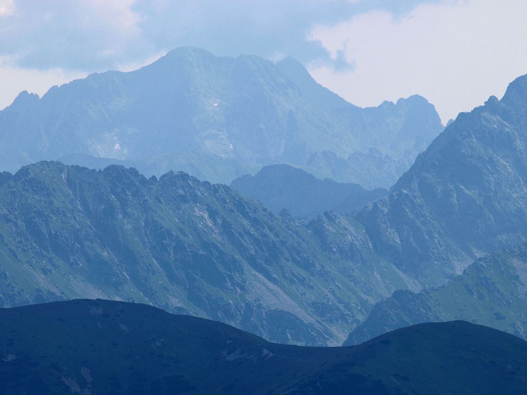 img00008.jpg