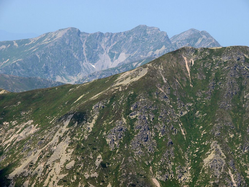 img00009.jpg