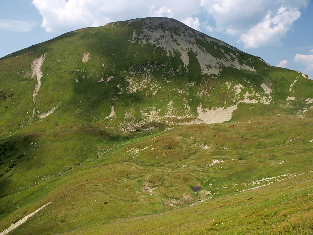 img00013.jpg