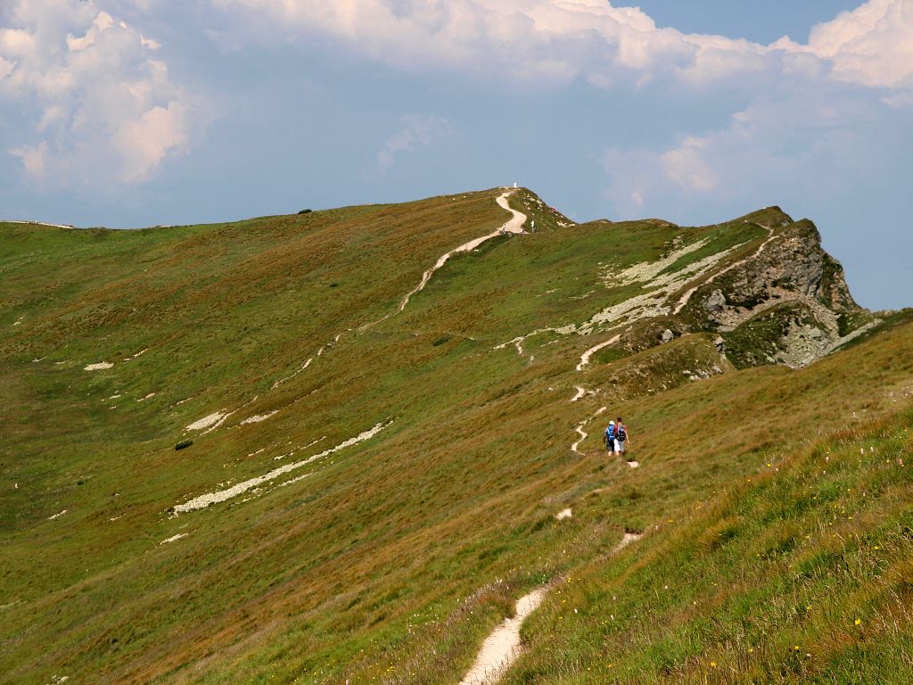 img00014.jpg