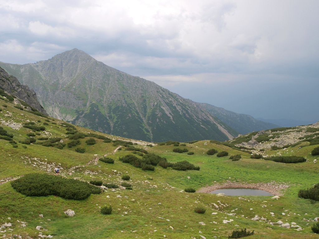 img00025.jpg