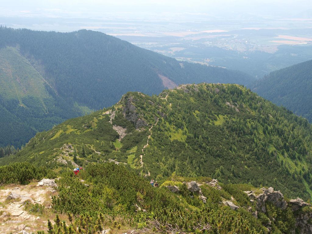 img00004.jpg