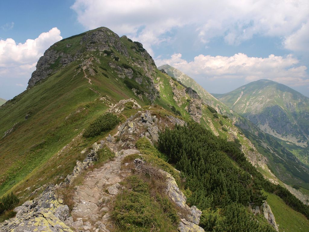 img00005.jpg