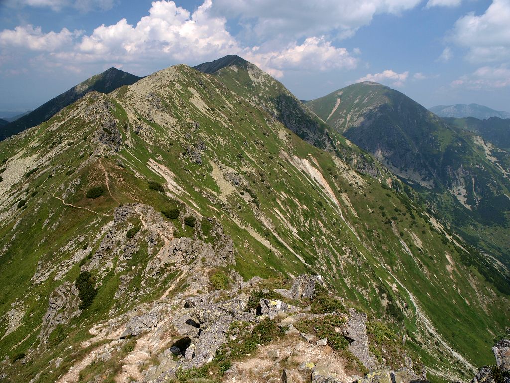 img00007.jpg