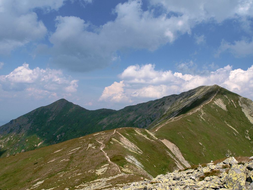 img00008.jpg