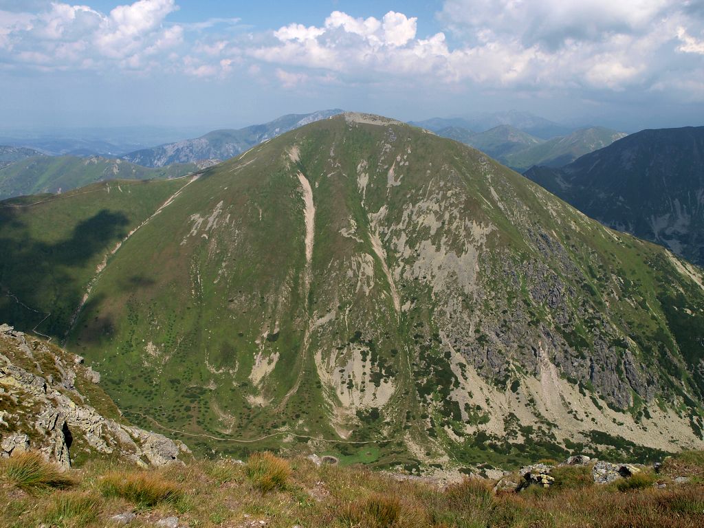 img00010.jpg