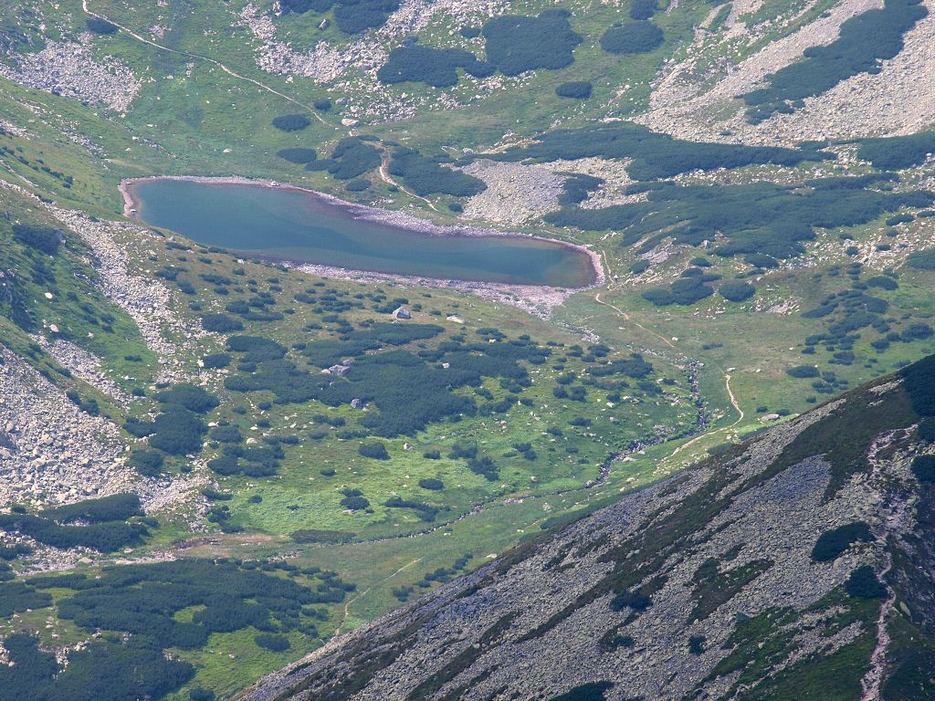 img00016.jpg