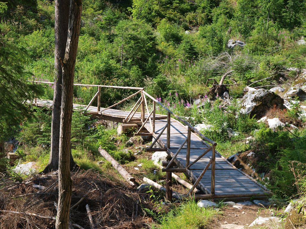 img00020.jpg