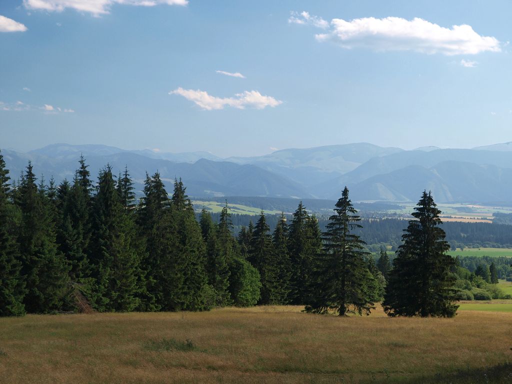 img00022.jpg