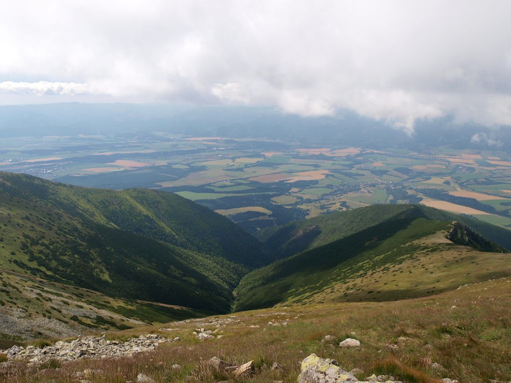 img00003.jpg