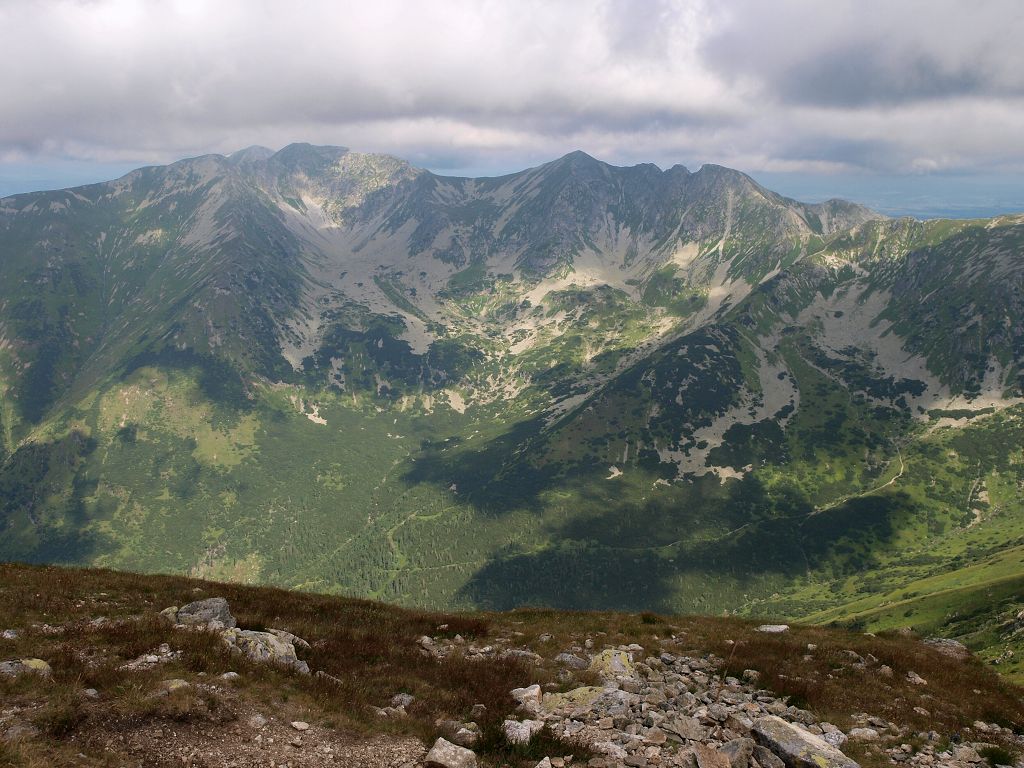 img00005.jpg