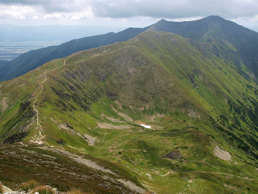 img00016.jpg