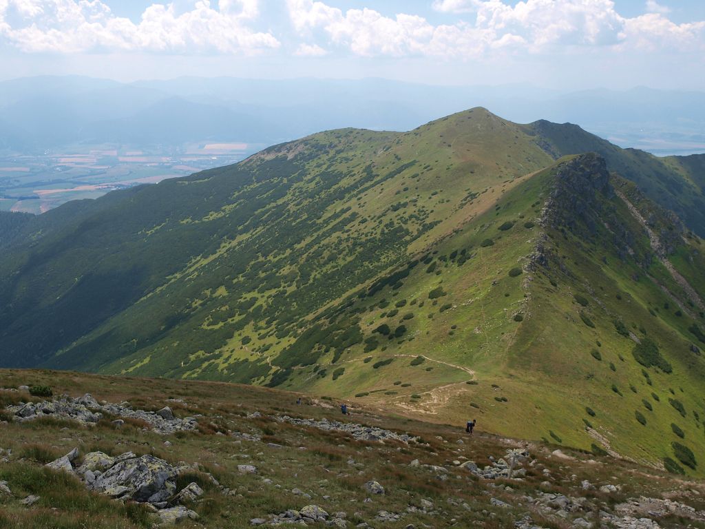 img00004.jpg