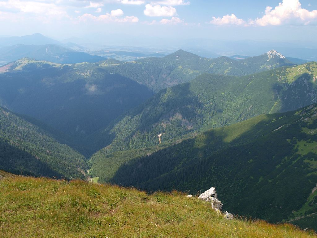 img00005.jpg